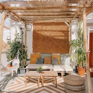 https://the-urban-jungle-hostel.1costadelsol.com