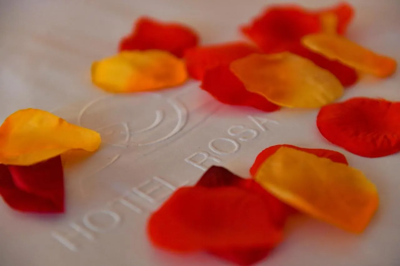 ***  Hotel Rosa & Spa Begur Spain